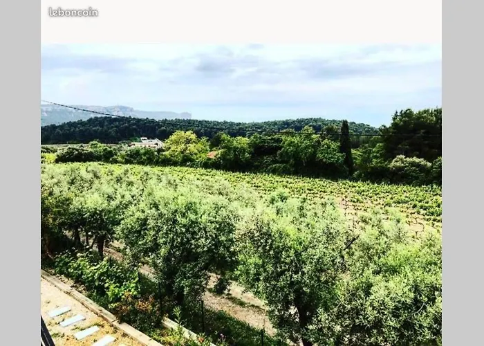 Dans Les Vignes De Apartment *