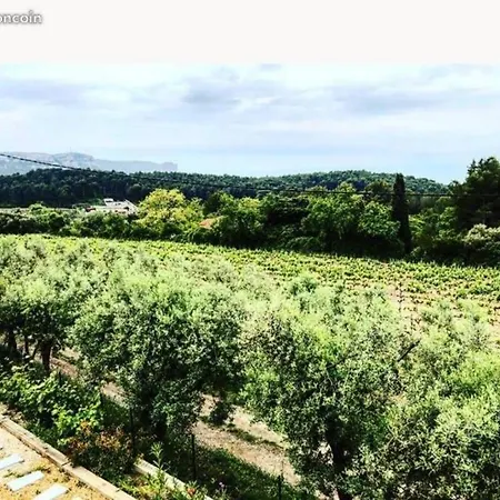 Dans Les Vignes De アパート *